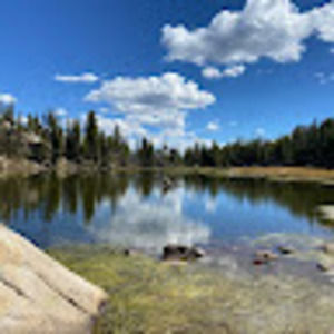 Meet your Posher, Tierney